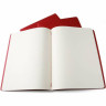 Набор из 3 блокнотов MOLESKINE Cahier Journal XL, нелинованный, клюквенный CH123